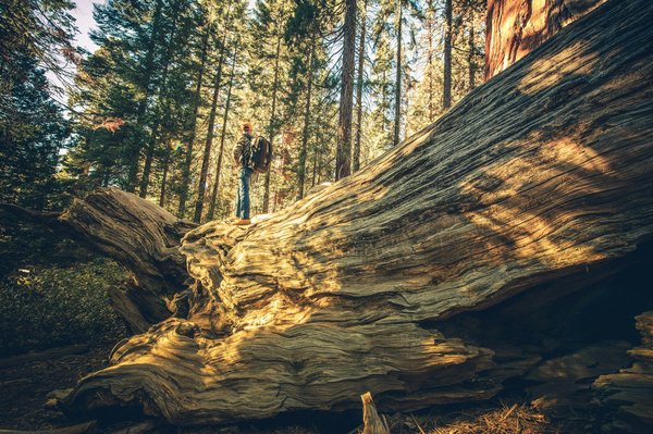 Quels sont les secrets pour une visite réussie des temples Angkor Wat au Cambodge : itinéraires et conseils ?